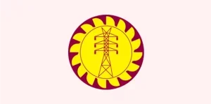 Image-Replace10-300x149